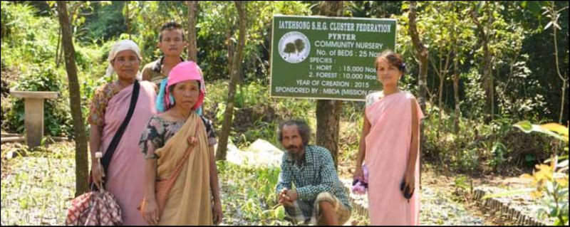  A case study of the community nursery under the TEHSONGLANG CLF, Pynter