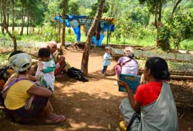 A case study of the community nursery under the SAHSNIANG CLF (west Jaintia hills)