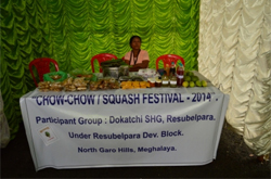 Squash (Piskot) Festival held in city image