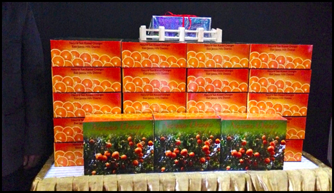 Image of Narwan Oranges branded and marketed with the aid of IBDLP