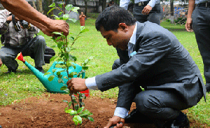 World Environment Day Observed in Shillong image