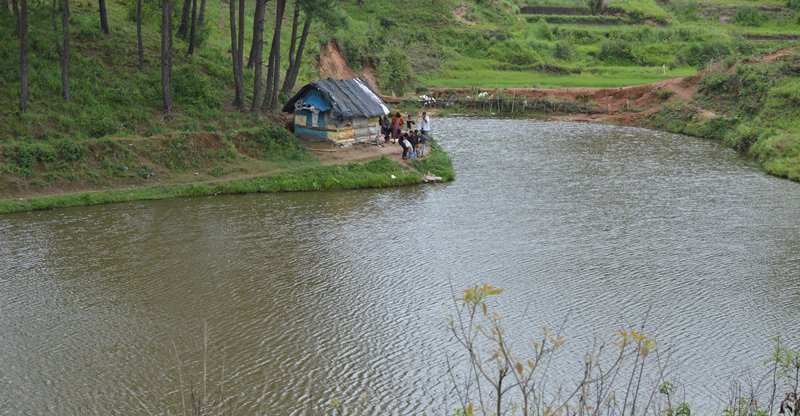 CBIP confers award to Meghalaya