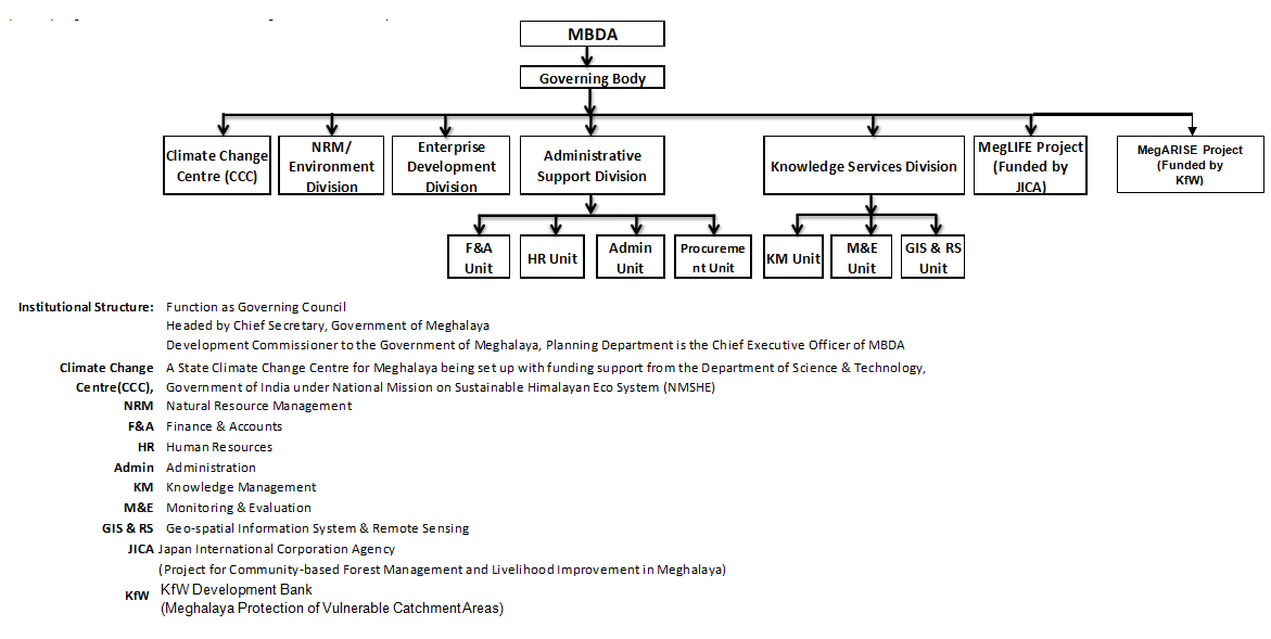 organization chart