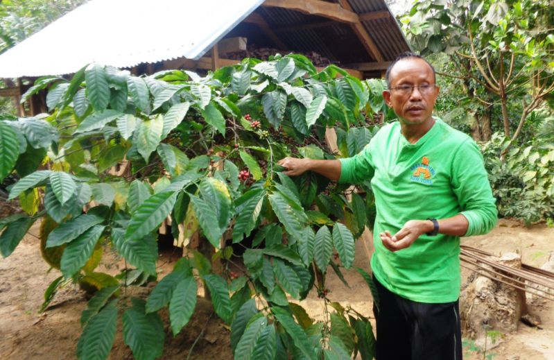 The Case of Wefstar D. Shira and his Integrated Organic Farm image