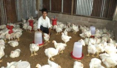 Poultry Farm of shri only Pohtam image